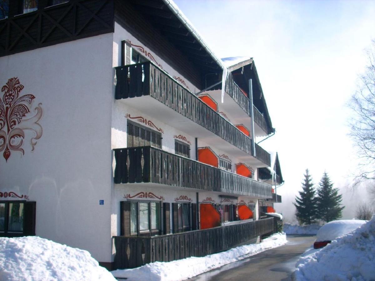Ferienwohnung Hani Spiegelau Exterior foto
